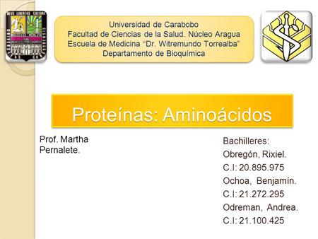 Proteínas: Aminoácidos