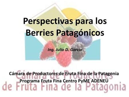 Perspectivas para los Berries Patagónicos Ing. Julio D. Garcia
