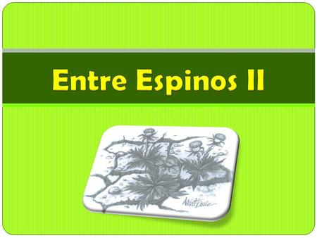 Entre Espinos II.