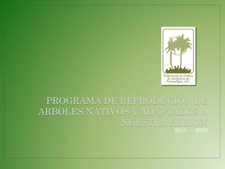 PROGRAMA DE REPRODUCION DE ARBOLES NATIVOS Y ADAPTADOS A NUESTRA REGION 2011 - 2012.