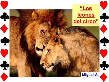“Los leones del circo” Miguel-A..