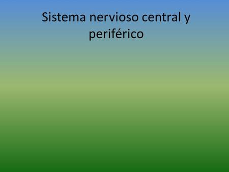 Sistema nervioso central y periférico