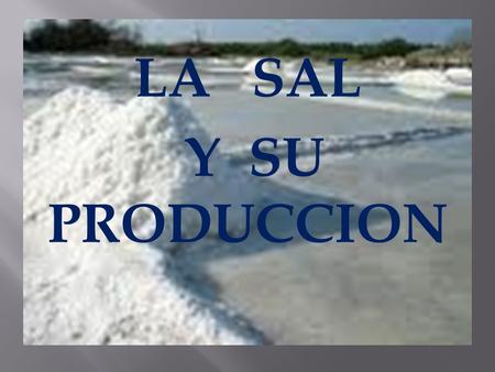 LA SAL Y SU PRODUCCION.