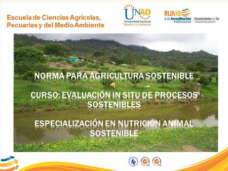 Norma para agricultura sostenible curso: evaluación in situ de procesos sostenibles especialización en nutrición animal sostenible.