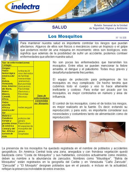 Boletín Semanal de la Unidad de Seguridad, Higiene y Ambiente N° 14 008 SALUD Los Mosquitos Para mantener nuestra salud es importante controlar los riesgos.
