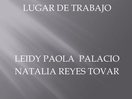 LUGAR DE TRABAJO LEIDY PAOLA PALACIO NATALIA REYES TOVAR.