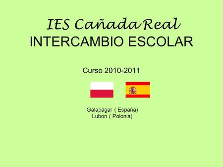 IES Cañada Real INTERCAMBIO ESCOLAR Curso