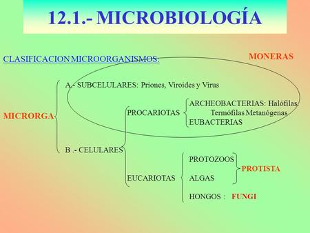 MICROBIOLOGÍA MONERAS CLASIFICACION MICROORGANISMOS: MICRORGA