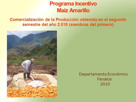 Comercialización de la Producción obtenida en el segundo semestre del año 2.010 (siembras del primero) Departamento Económico Fenalce 2010 Programa Incentivo.