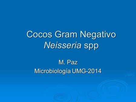 Cocos Gram Negativo Neisseria spp