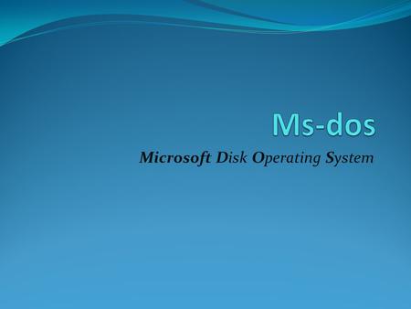 Microsoft Disk Operating System