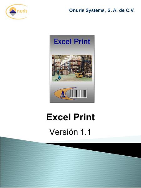 Onuris Systems, S. A. de C.V. Excel Print Versión 1.1.