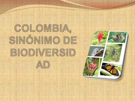 COLOMBIA, SINÓNIMO DE BIODIVERSIDAD