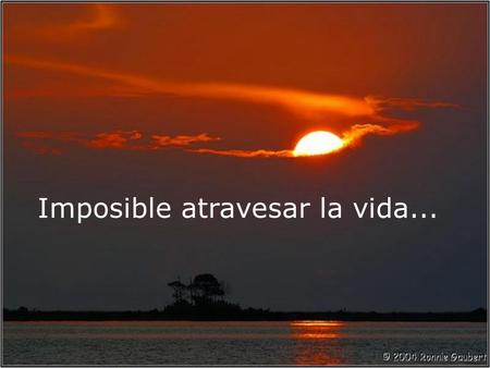 Imposible atravesar la vida...