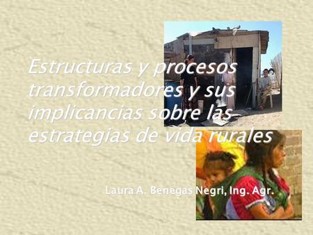 Estructuras y procesos transformadores y sus implicancias sobre las estrategias de vida rurales Laura A. Benegas Negri, Ing. Agr.