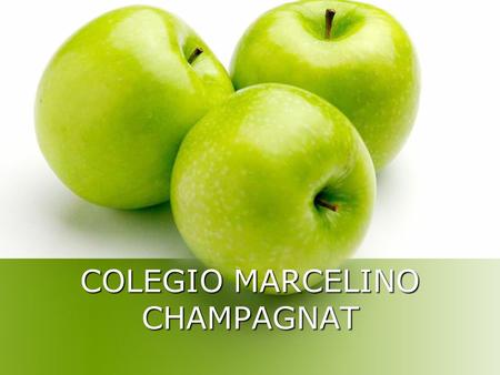 COLEGIO MARCELINO CHAMPAGNAT