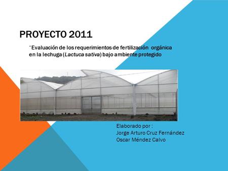 Proyecto 2011 “Evaluación de los requerimientos de fertilización orgánica en la lechuga (Lactuca sativa) bajo ambiente protegido Elaborado por : Jorge.