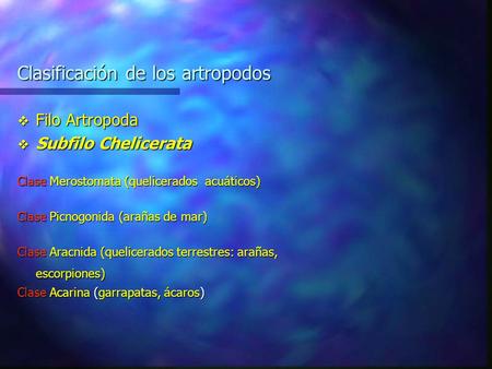 Clasificación de los artropodos