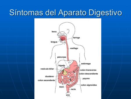 Síntomas del Aparato Digestivo