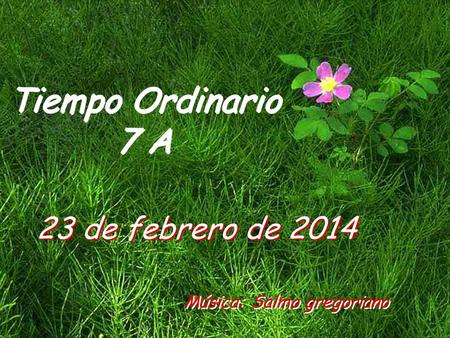 Tiempo Ordinario 7 A 23 de febrero de 2014 Música: Salmo gregoriano.