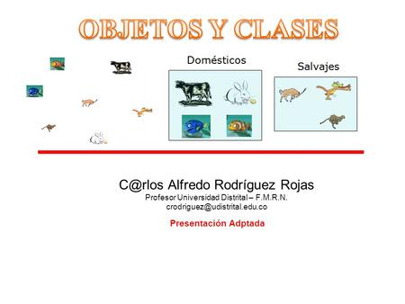 Presentación Adptada Alfredo Rodríguez Rojas Profesor Universidad Distrital – F.M.R.N.