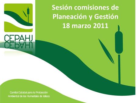Sesión comisiones de Planeación y Gestión 18 marzo 2011.