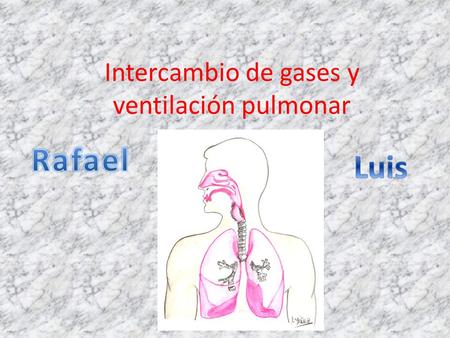 Intercambio de gases y ventilación pulmonar