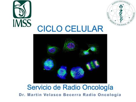 Dr. Martin Velasco Becerra Radio Oncología