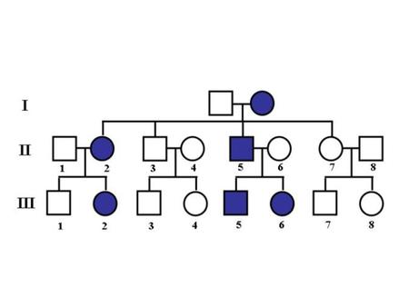 A partir de la información contenida en el árbol genealógico, contesta las siguientes preguntas: a) Si II2 se casa con un hombre normal y su primer.