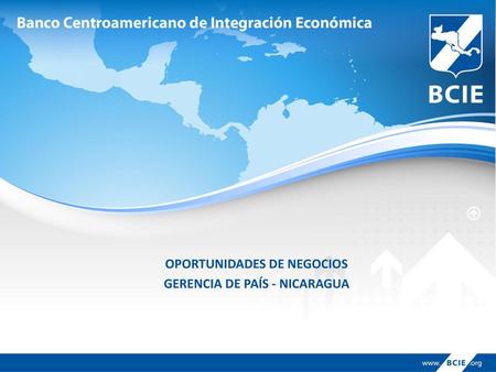 OPORTUNIDADES DE NEGOCIOS GERENCIA DE PAÍS - NICARAGUA