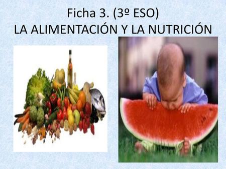 Ficha 3. (3º ESO) LA ALIMENTACIÓN Y LA NUTRICIÓN