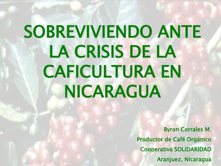 SOBREVIVIENDO ANTE LA CRISIS DE LA CAFICULTURA EN NICARAGUA