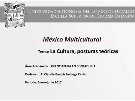 Tema: La Cultura, posturas teóricas
