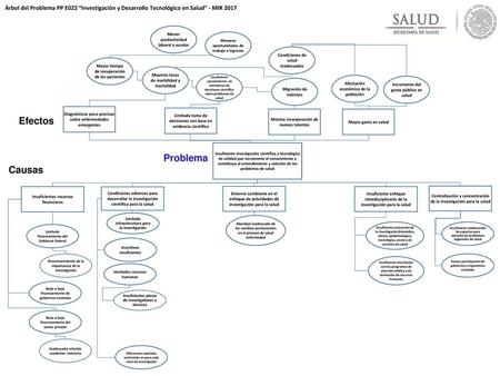 Efectos Problema Causas