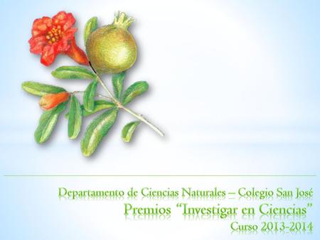Departamento de Ciencias Naturales – Colegio San José Premios “Investigar en Ciencias” Curso 2013-2014.