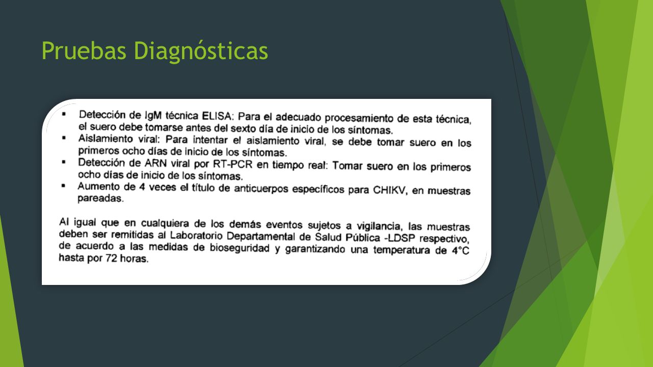 VIGILANCIA PARA LA FIEBRE CHIKUNGUNYA - ppt descargar VIGILANCIA PARA LA FIEBRE CHIKUNGUNYA - ppt descargar