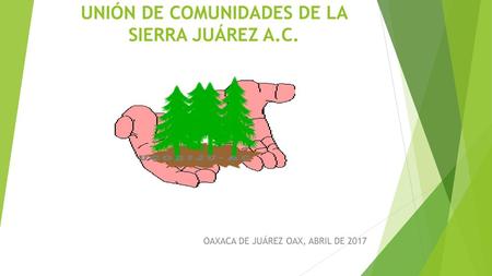 UNIÓN DE COMUNIDADES DE LA SIERRA JUÁREZ A.C.