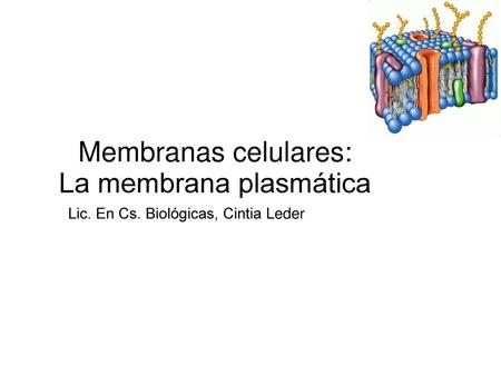 Membranas celulares: La membrana plasmática