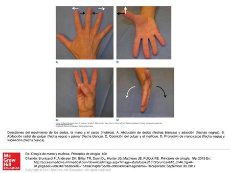 Direcciones del movimiento de los dedos, la mano y el carpo (muñeca). A. Abducción de dedos (flechas blancas) y aducción (flechas negras). B. Abducción.