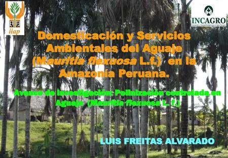 Domesticación y Servicios Ambientales del Aguaje (Mauritia flexuosa L