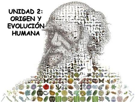 UNIDAD 2: ORIGEN Y EVOLUCIÓN HUMANA