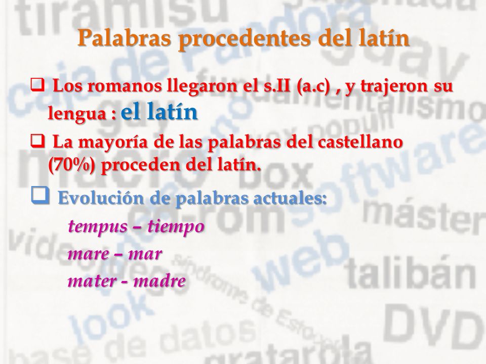 Palabras Procedentes Del Latin 43