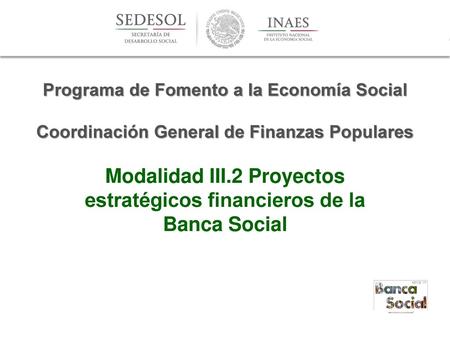 Modalidad III.2 Proyectos estratégicos financieros de la Banca Social