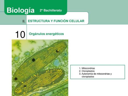 10 Biología II. 2º Bachillerato ESTRUCTURA Y FUNCIÓN CELULAR