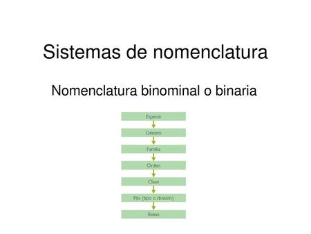 Sistemas de nomenclatura