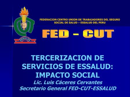 TERCERIZACION DE SERVICIOS DE ESSALUD: IMPACTO SOCIAL
