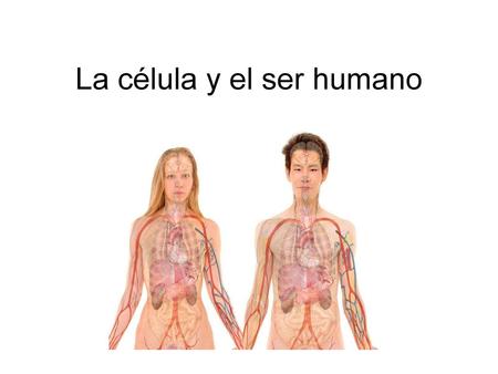 La célula y el ser humano