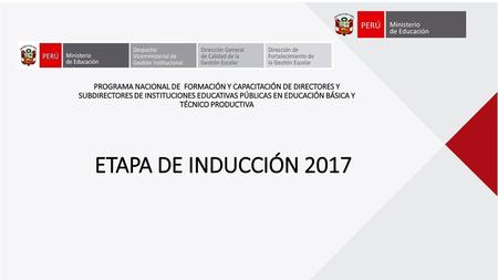 PROGRAMA NACIONAL DE FORMACIÓN Y CAPACITACIÓN DE DIRECTORES Y SUBDIRECTORES DE INSTITUCIONES EDUCATIVAS PÚBLICAS EN EDUCACIÓN BÁSICA Y TÉCNICO PRODUCTIVA.
