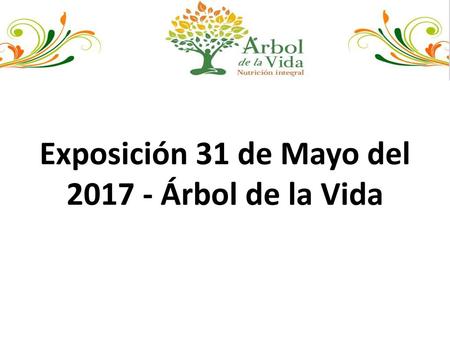 Exposición 31 de Mayo del Árbol de la Vida