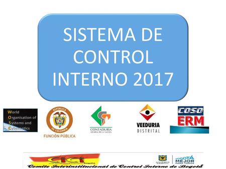 SISTEMA DE CONTROL INTERNO 2017